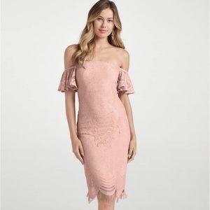 Venus Pale Pink Off-The-Shoulder Lace Dress